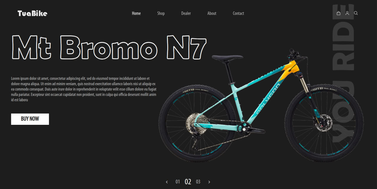 Bicycle E-commerce Platform